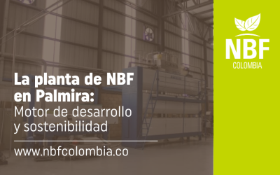La planta de NBF en Palmira: productividad y encadenamientos locales.