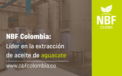 NBF Colombia: aliado en extracción de aceite de aguacate para la industria alimentaria