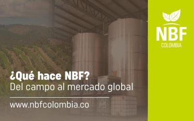 ¿Qué hace NBF? Del campo al mercado global