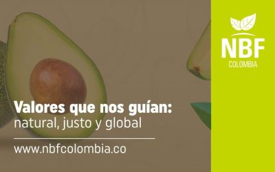 Valores que nos guían: natural, justo y global